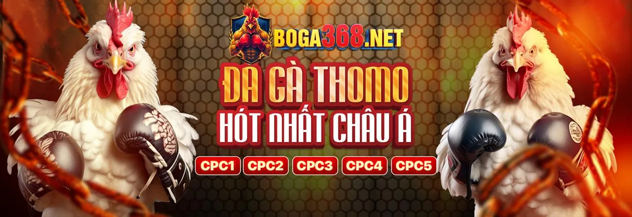 Đá gà trực tuyến km88 trang chủ chính thức