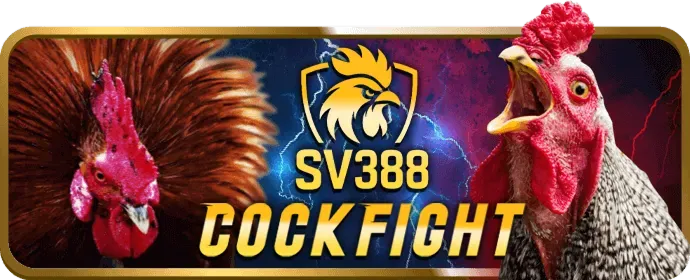 Cá cược thể thao KM88